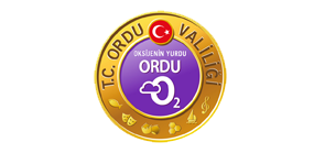 ordu valiliği